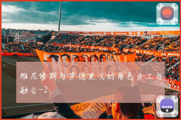 维尼修斯与罗德里戈的角色分工与融合