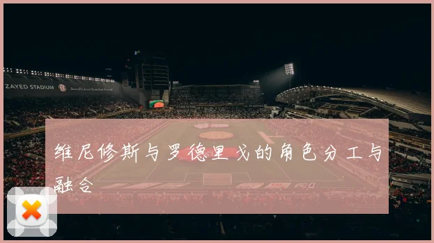 维尼修斯与罗德里戈的角色分工与融合